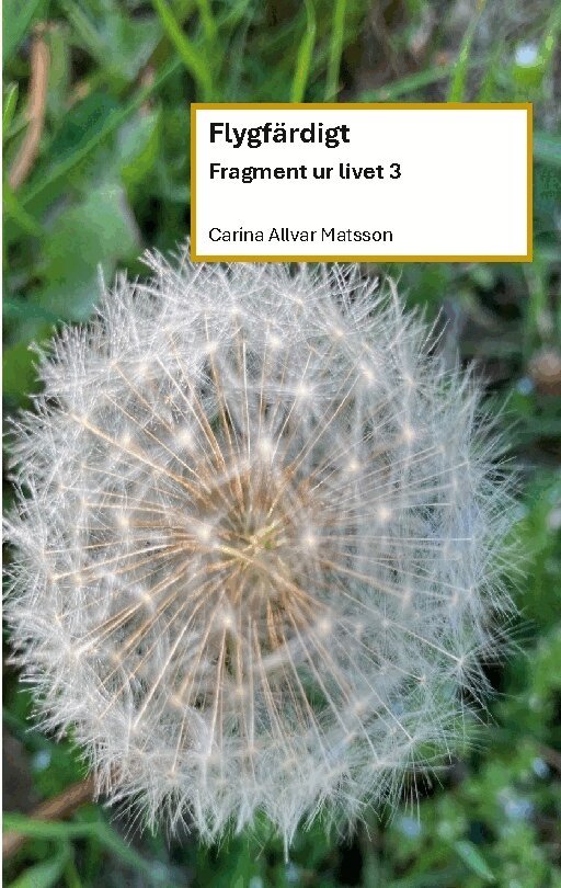 Carina Allvar Matsson - Flygfärdigt : Fragment ur livet 3, Häftad. Tillgänglighet: Lägg i varukorg