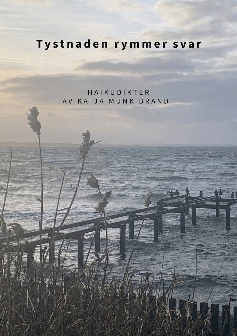 Katja Munk Brandt - Tystnaden rymmer svar: Haikudikter, E-bok