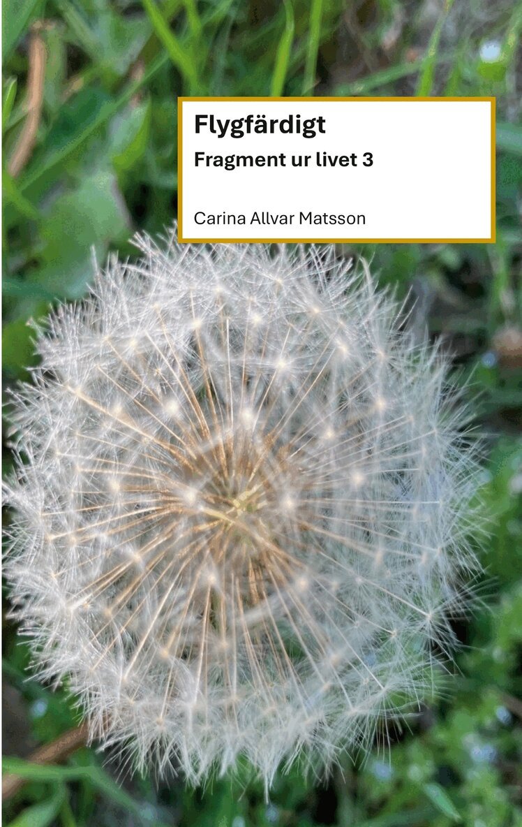 Carina Allvar Matsson - Flygfärdigt: Fragment ur livet 3, E-bok. Tillgänglighet: Lägg i varukorg
