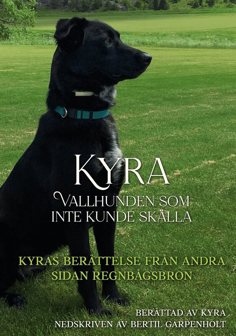 Bertil Garpenholt - Kyra vallhunden som inte kunde skälla: Kyras berättelse från andra sidan regnbågsbron, E-bok. Tillgänglighet: Lägg i varukorg