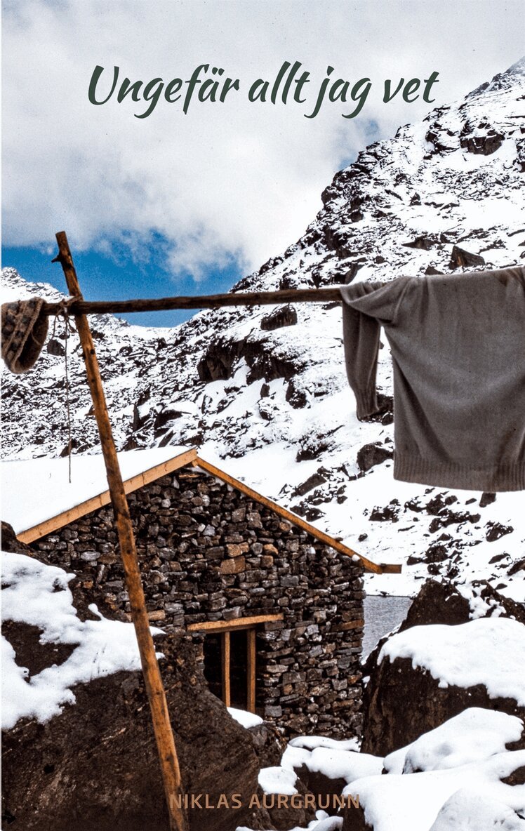 Niklas Aurgrunn - Ungefär allt jag vet: -en månad i Nepal 1989, E-bok