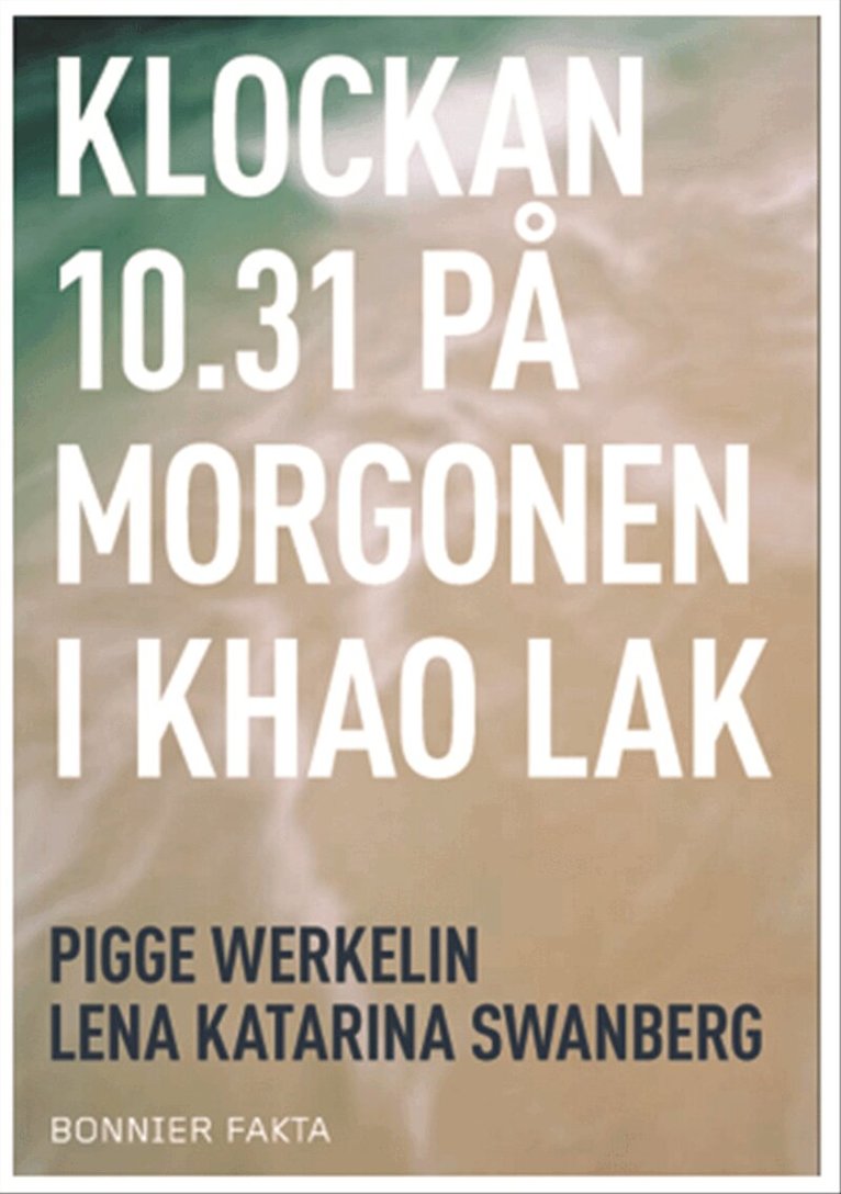 Pigge Werkelin - Klockan 10.31 på morgonen i Khao Lak, Kartonnage