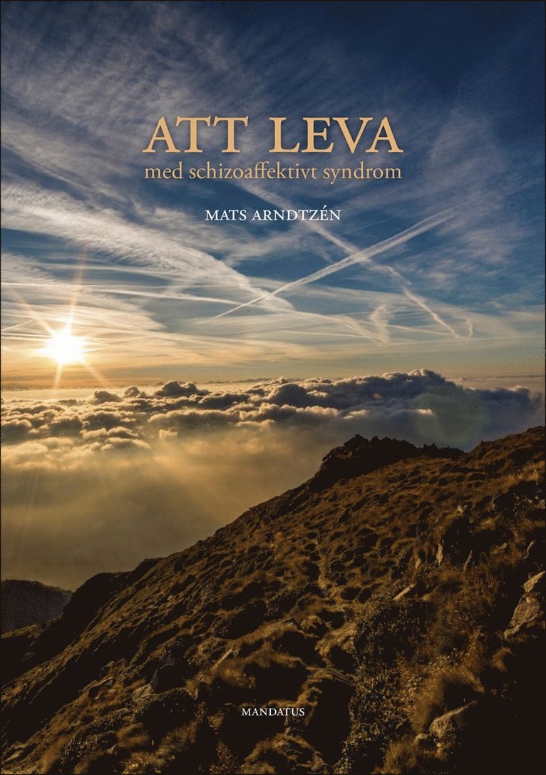 Mats Arndtzén - Att leva med schizoaffektivt syndrom, Häftad