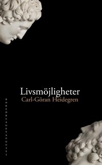 Livsmöjligheter