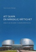 Att skapa en mnsklig rttighet