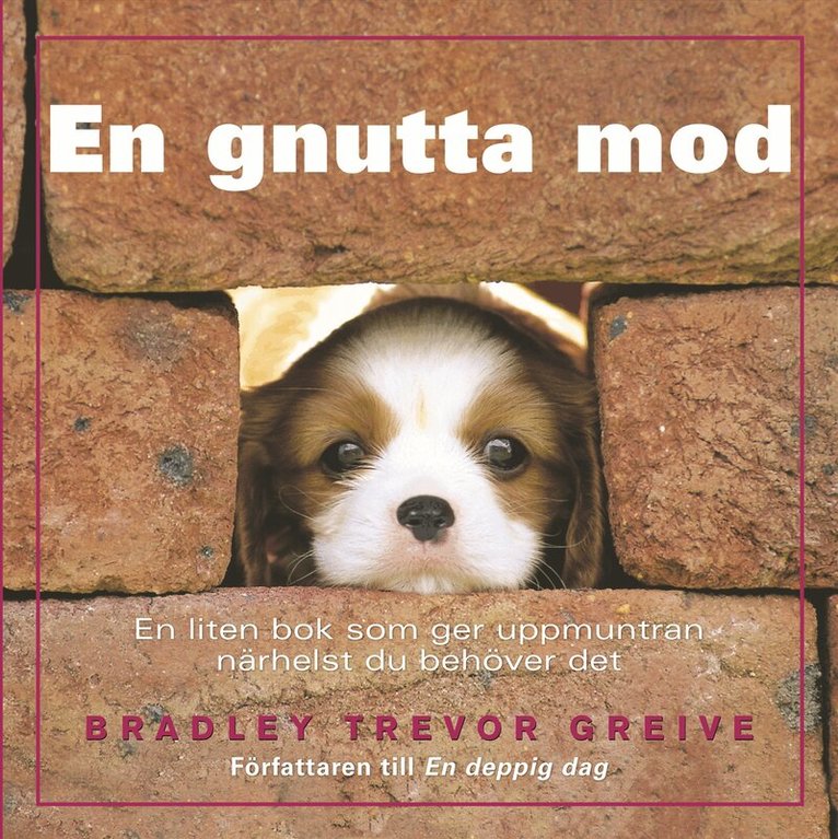 Bradley Trevor Greive - En gnutta mod : en liten bok som ger uppmuntran närhelst du behöver det, Inbunden