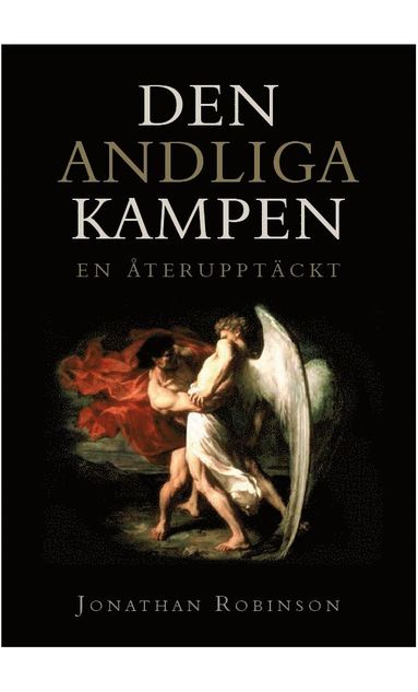 Jonathan Robinson Den andliga kampen : en återupptäckt