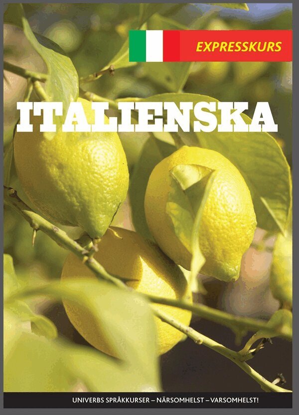 Univerb, - Expresskurs Italienska, Ljudbok