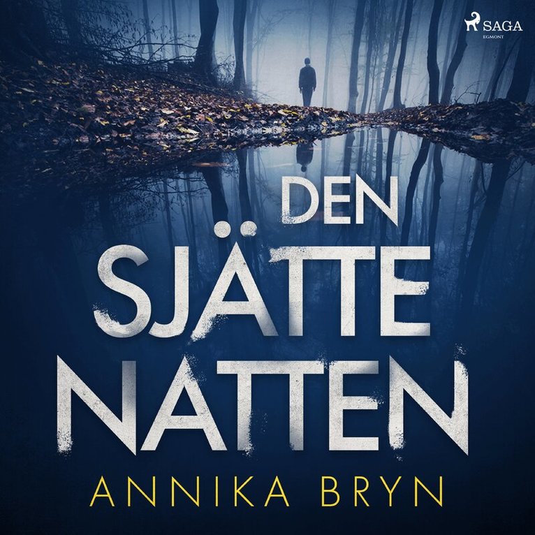 Annika Bryn - Den sjätte natten, Ljudbok