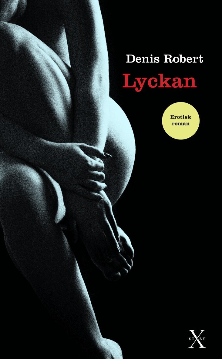 Denis Robert - Lyckan, Pocket