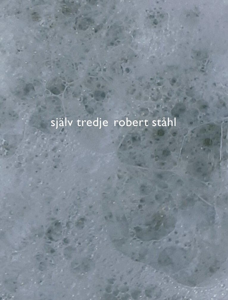 Robert Ståhl - Själv tredje, Häftad. Tillgänglighet: Lägg i varukorg