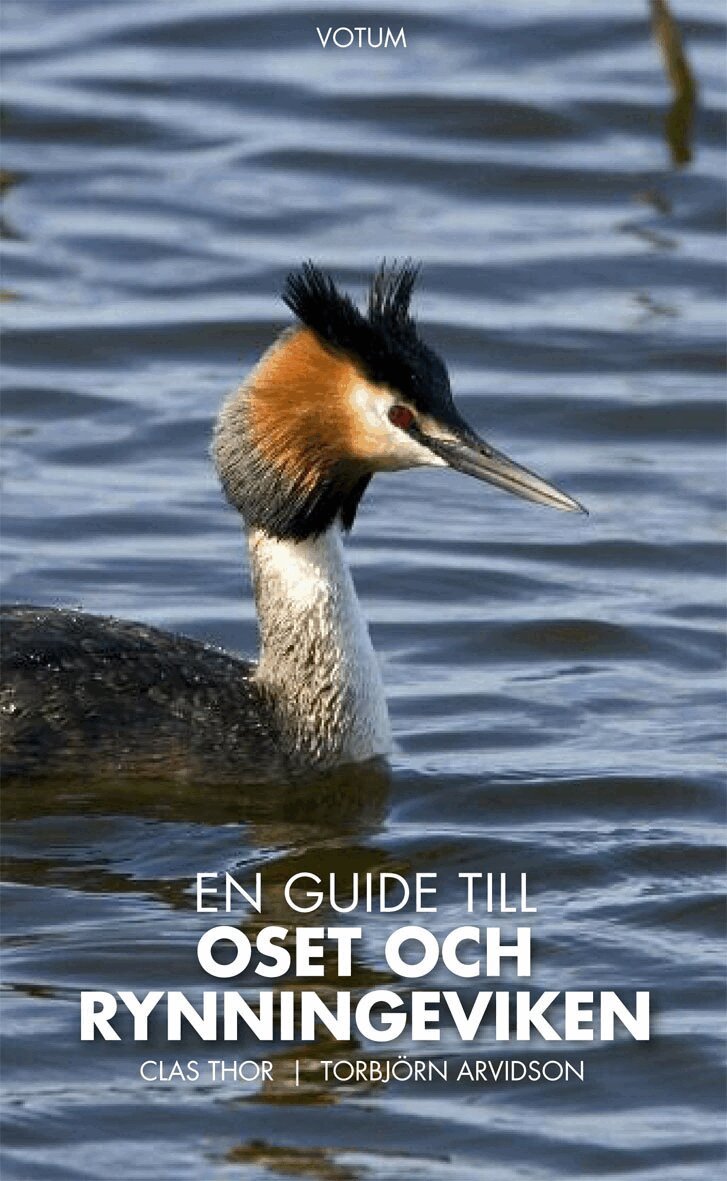 Clas Thor - En guide till Oset och Rynningeviken, Häftad