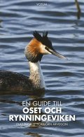 En guide till Oset och Rynningeviken