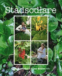 Stadsodlare (inbunden)