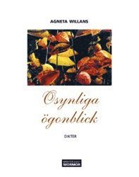 e-Bok Osynliga ögonblick