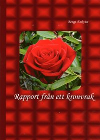 e-Bok Rapport från ett kronvrak