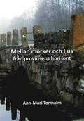 Mellan mrker och ljus : frn provinsens horisont