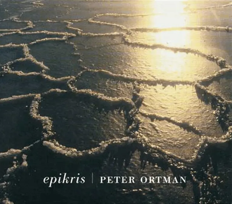 Peter Ortman - epikris, Ljudbok. Tillgänglighet: Lägg i varukorg