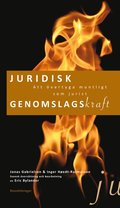 Juridisk genomslagskraft : att vertyga muntligt som jurist.