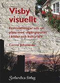 Visby visuellt : frestllningar om en plats med utgngspunkt i bilder och kulturarv