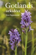 Gotlands orkidéer