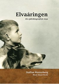 e-Bok Elvaåringen  en självbiografisk resa