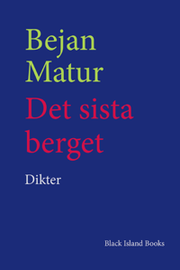 e-Bok Det sista berget