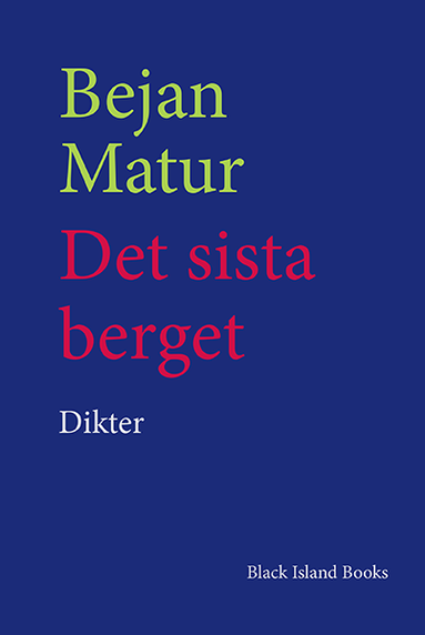 Bejan Matur Det sista berget