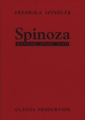 Spinoza: multitud, affekt, kraft 