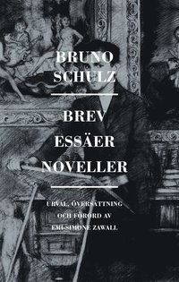 e-Bok Brev, essäer, noveller