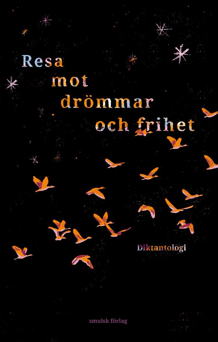 Ahmad Zardadi, Ali Rezai, Zahra Ahmadi, Ali Naseri, Tiamor Alibakhsh, Faiaz Dowlatzai, Matin Hossaini - Resa mot drömmar och frihet, Häftad