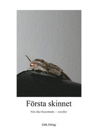 e-Bok Första skinnet <br />                        Storpocket