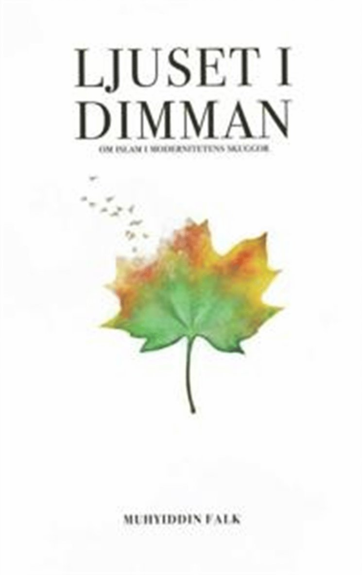 Muhyiddin Falk - Ljuset i dimman - Om Islam i modernitetens skuggor, E-bok