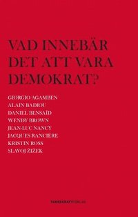 Vad innebr det att vara demokrat?