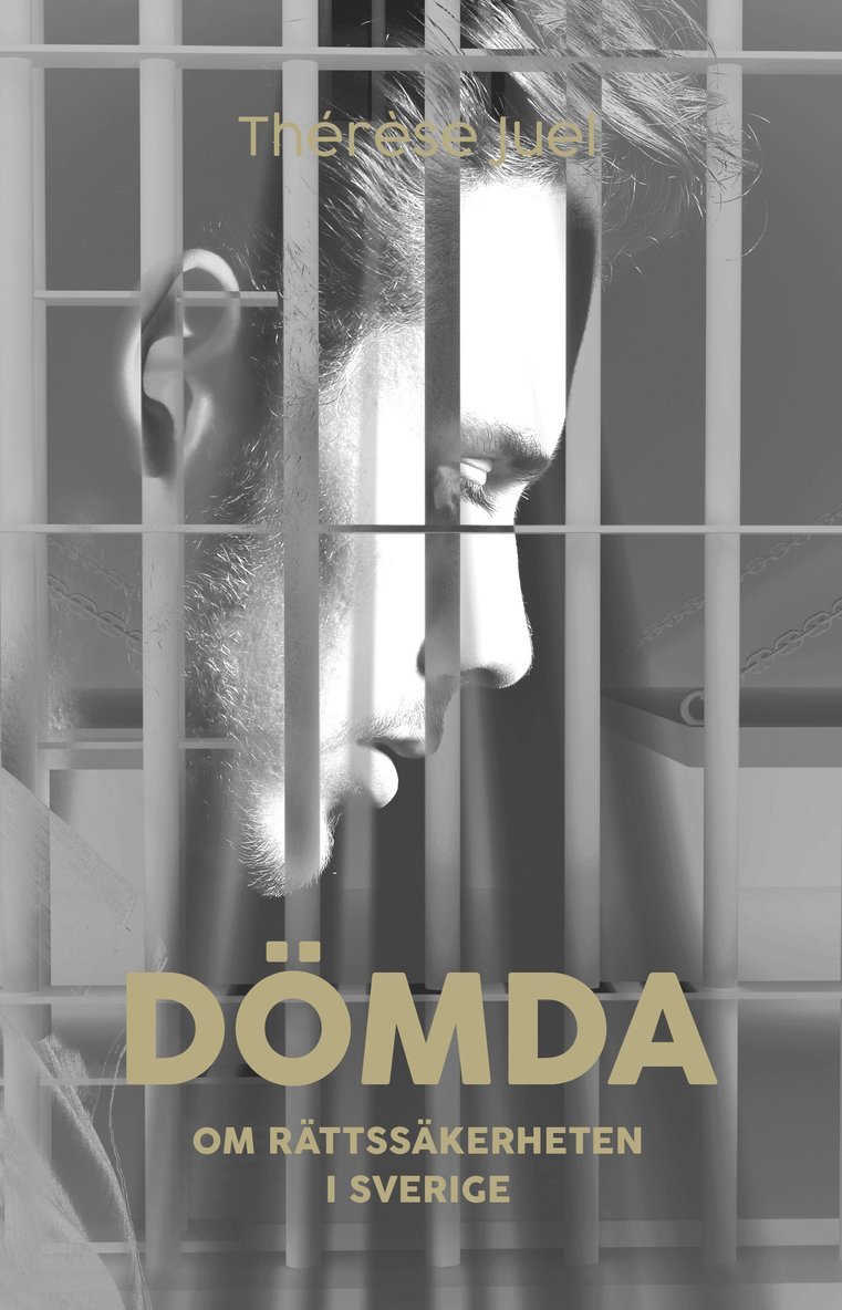 Thérèse Juel - Dömda : om rättssäkerheten i Sverige, E-bok