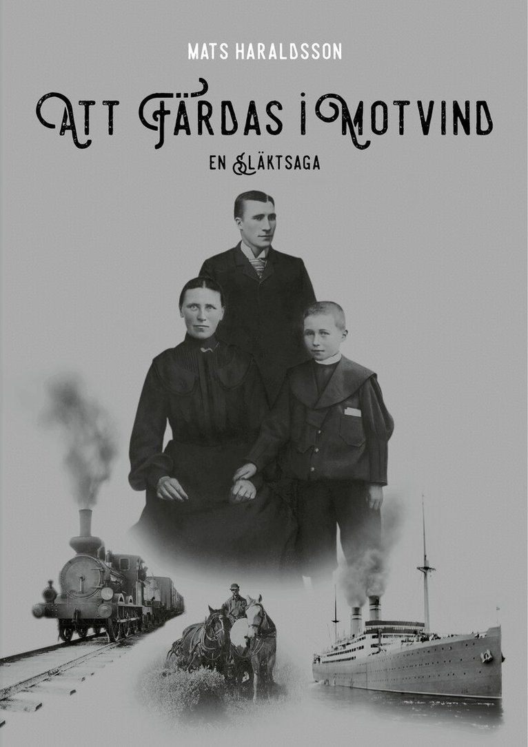Mats Haraldsson - Att färdas i motvind : en släktsaga, Inbunden