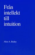 Från intellekt till intuition