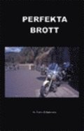 Perfekta brott