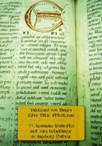 Hildegard von Bingen: Liber vitae meritorum : 35 kosmiska livskrafter mot v�ra belastningar