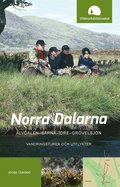 Norra Dalarna, �lvdalen-S�rna-Idre-Gr�velsj�n, vandringsturer och utflykter