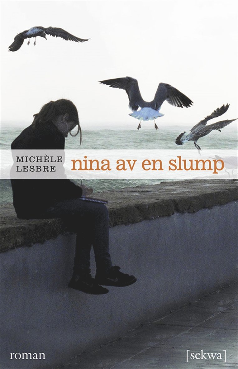 Michèle Lesbre - Nina av en slump : roman, E-bok