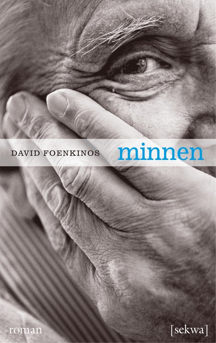 David Foenkinos - Minnen, E-bok