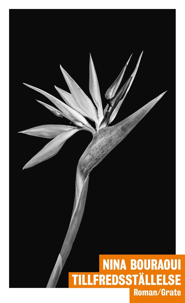 Nina Bouraoui - Tillfredsställelse, Häftad