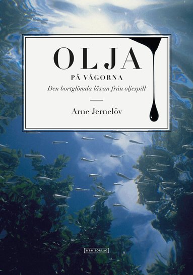 Arne Jernelöv - Olja på vågorna : den bortglömda läxan från oljespill, Häftad