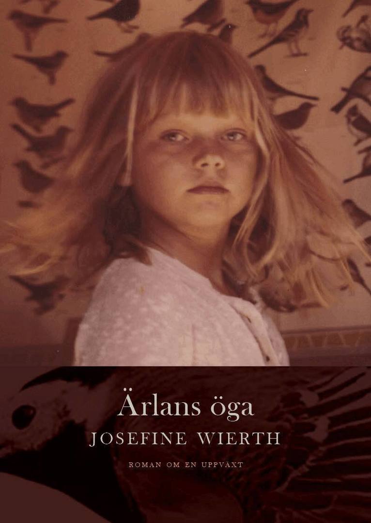 Josefine Wierth - Ärlans öga : roman om en uppväxt, Häftad