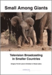 e-Bok Small among giants  television broadcasting in smaller countries