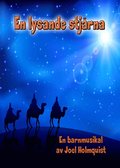 En lysande stjrna Noter