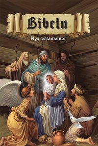 e-Bok Bibeln Nya Testamentet