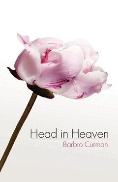 Barbro Curman - Head in heaven, Häftad