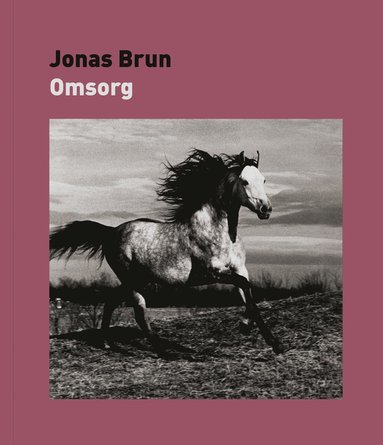 Jonas Brun Omsorg